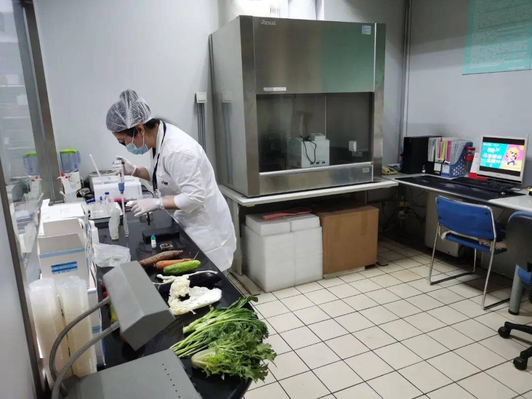 鼎湖食品检测实验室装修方案